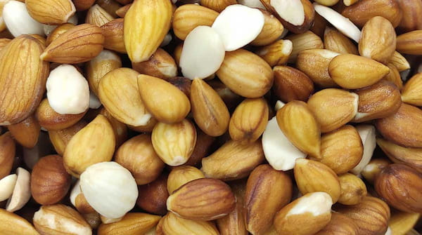 تصویر 3 از قیمت خرید بادام تلخ درختی با فروش عمده